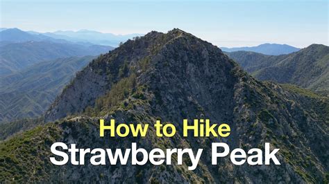 strawberry peak from red box junction plant|A Tale of Terror: Strawberry Peak – HikeInlandEmpire.